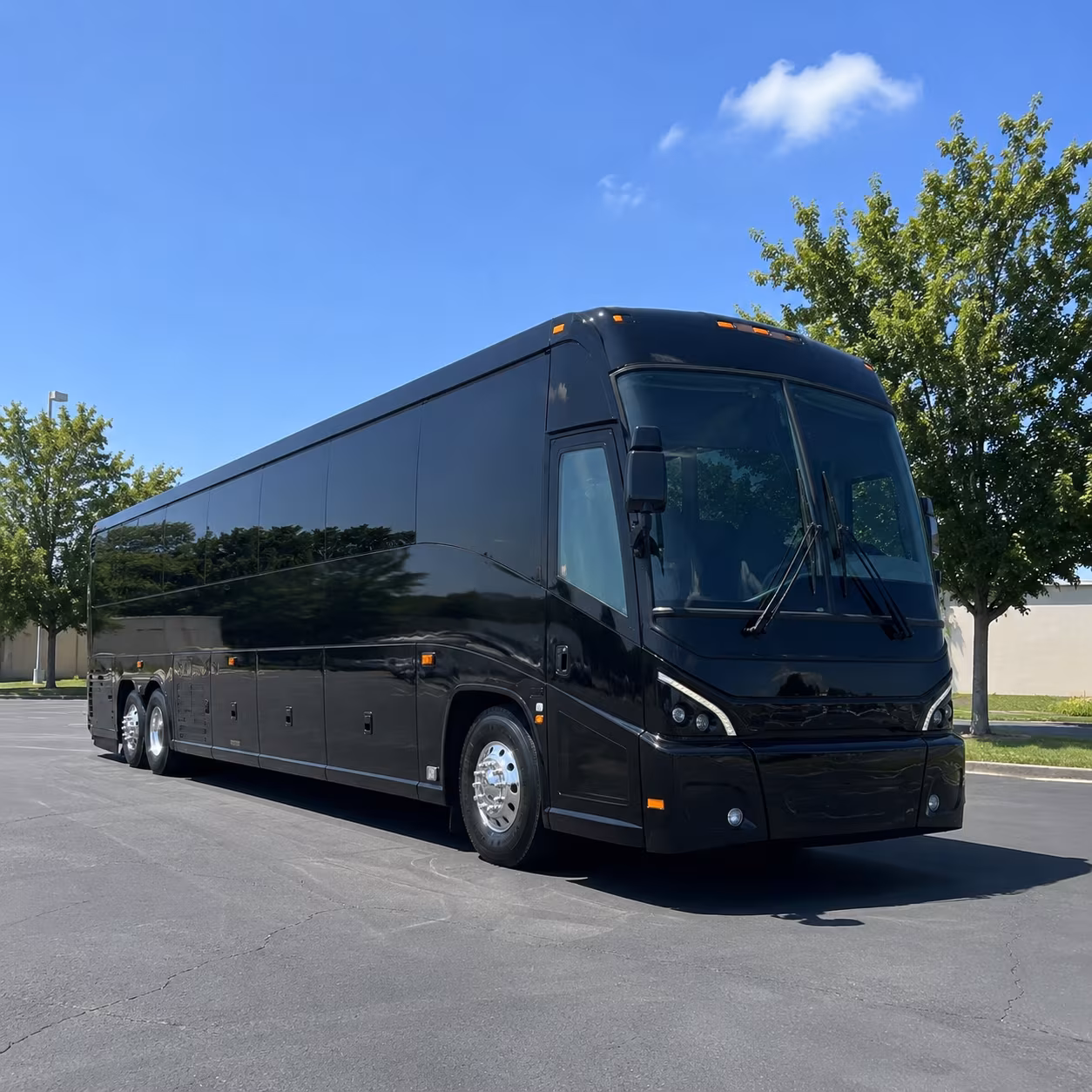 concert buses to the observatory and constellation room on harbor boulevard